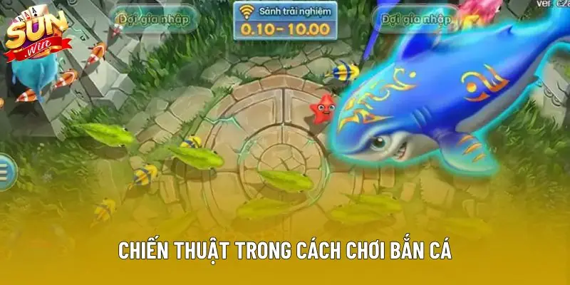 Chiến thuật trong cách chơi bắn cá Chiến thuật trong cách chơi bắn cá