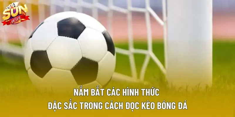 Nắm bắt các hình thức đặc sắc trong cách đọc kèo bóng đá Nắm bắt các hình thức đặc sắc trong cách đọc kèo bóng đá
