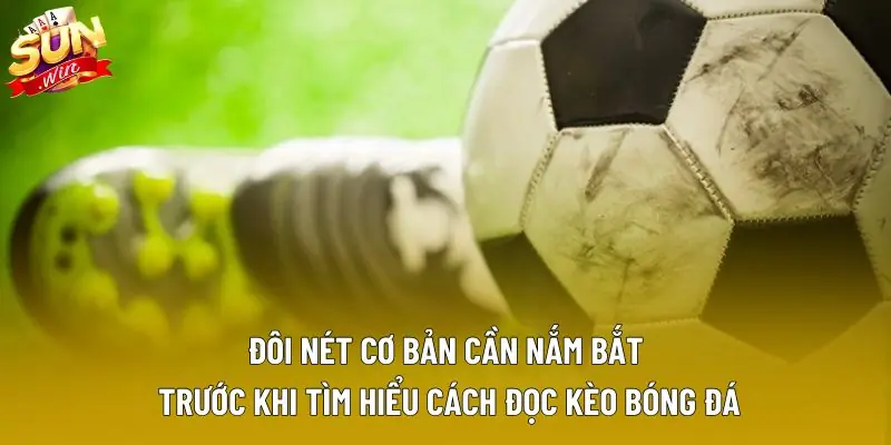 ĐÔi nét cơ bản cần nắm bắt trước khi tìm hiểu cách đọc kèo bóng đá ĐÔi nét cơ bản cần nắm bắt trước khi tìm hiểu cách đọc kèo bóng đá