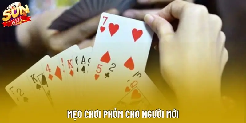 Mẹo chơi phỏm cho người mới Mẹo chơi phỏm cho người mới